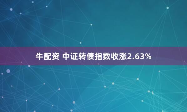 牛配资 中证转债指数收涨2.63%