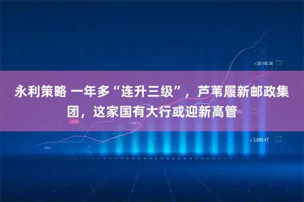 永利策略 一年多“连升三级”，芦苇履新邮政集团，这家国有大行或迎新高管