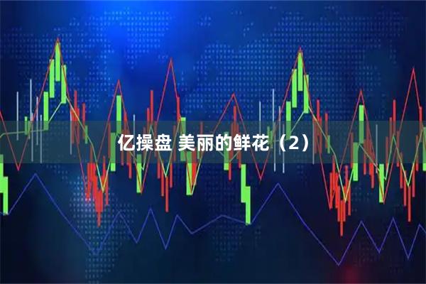 亿操盘 美丽的鲜花（2）